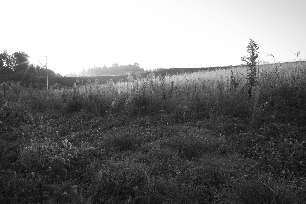 c0131875_375768.jpg