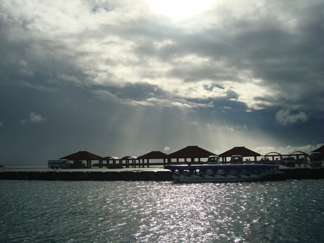 a0139977_21401046.jpg