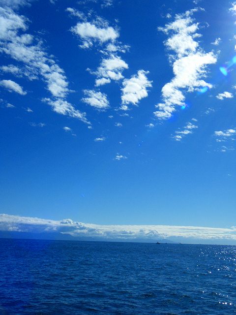 c0176183_20274957.jpg