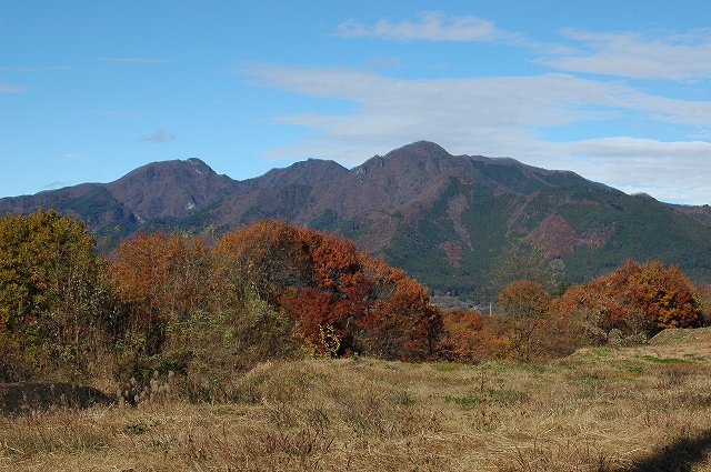 c0212083_1644864.jpg