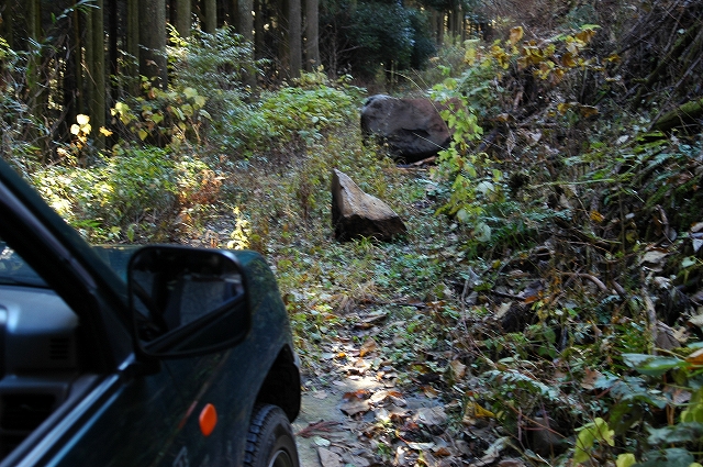 c0212083_1657324.jpg