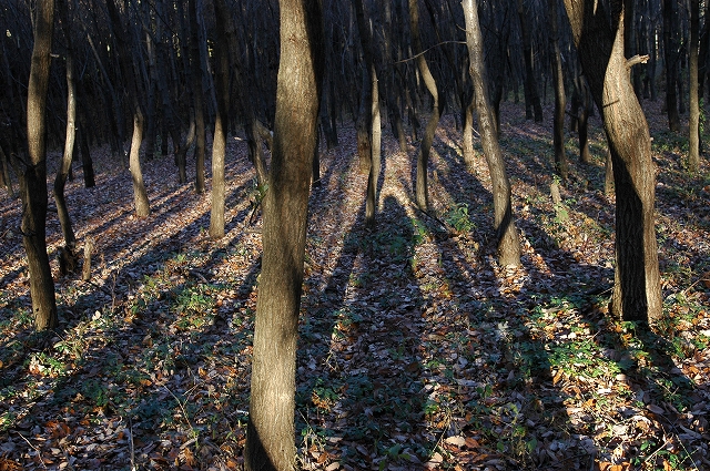 c0212083_16595511.jpg