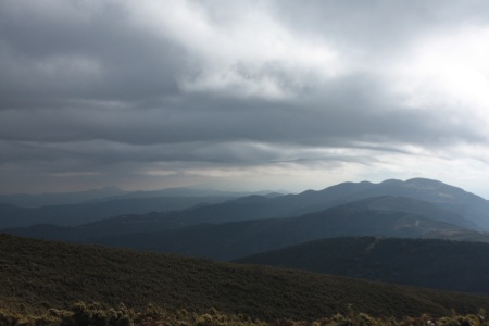 b0207284_183823.jpg