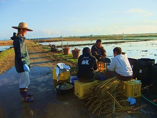 コップ酒のヒカリ_f0230584_015315.jpg