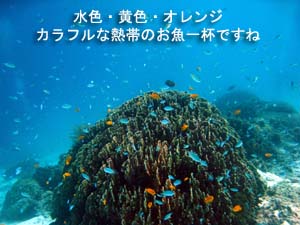 大雨から晴天へ♪ラチャノイ島へGO!!_f0144385_22243967.jpg