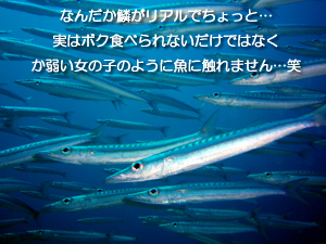 アドバンスゲットと課長に昇進!ナイスだね!!_f0144385_3582187.jpg