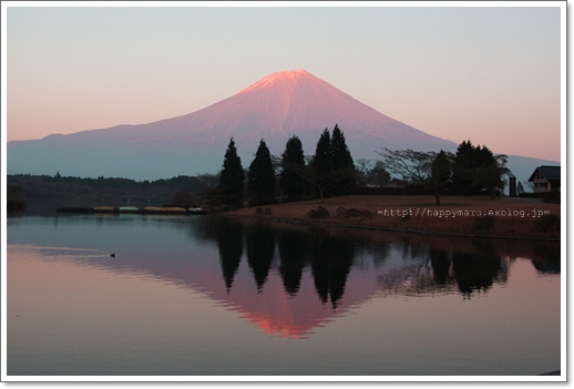 ピクニック　2010’＠田貫湖畔// 可愛いコたち♪_e0098393_857965.jpg