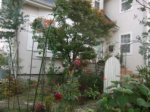 b0207995_16422137.jpg