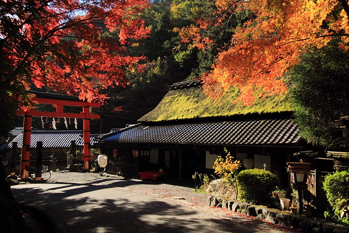 嵯峨野路Ⅰ　　　鳥居本_a0046000_1149395.jpg