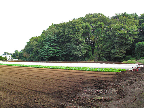 c0163001_23514897.jpg
