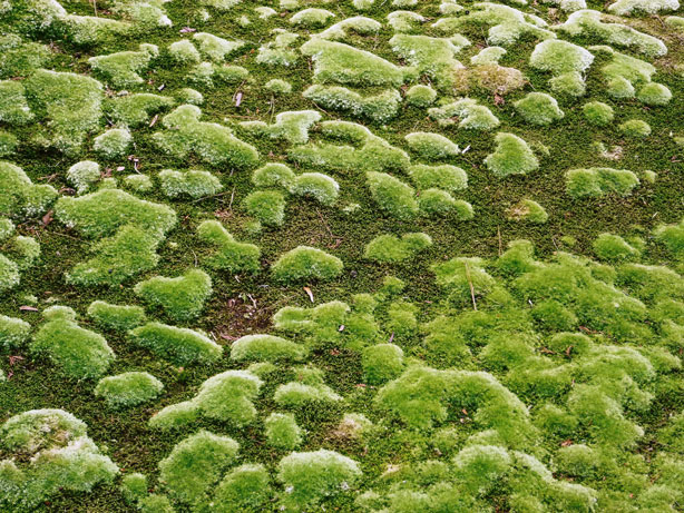 f0036603_20543452.jpg