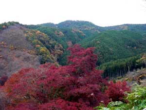 d0052404_1637711.jpg