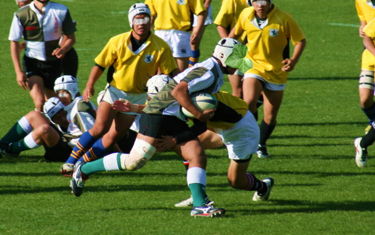f0031304_75524.jpg