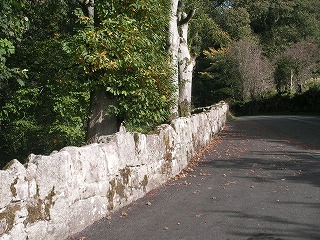 d0135505_16355993.jpg