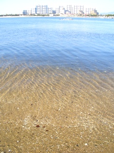b0101106_23314168.jpg