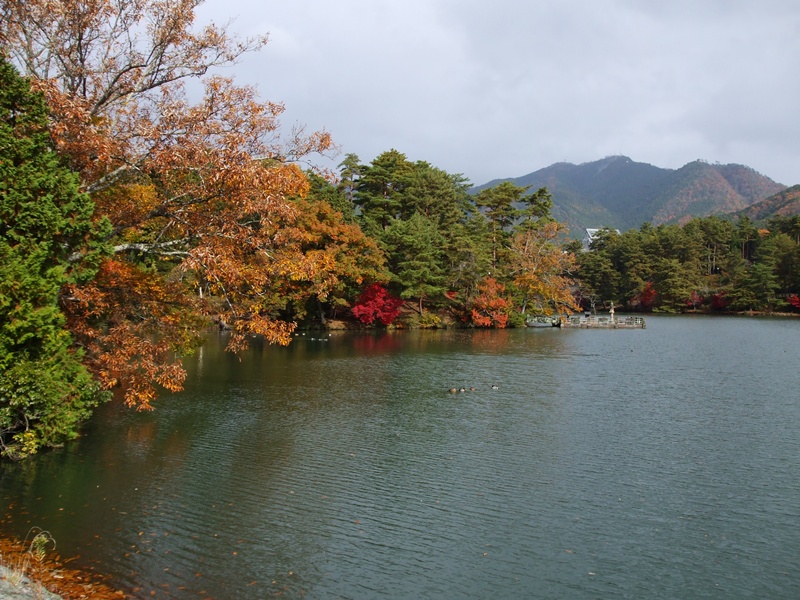 福知山マラソンの「親バカ日記」_f0215106_15564345.jpg