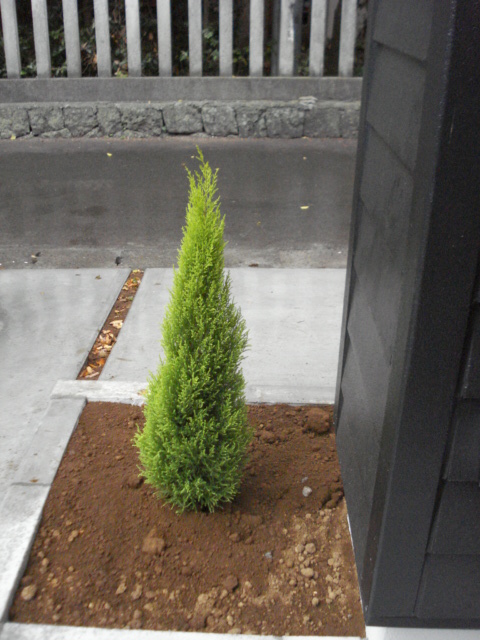 e0015108_87537.jpg