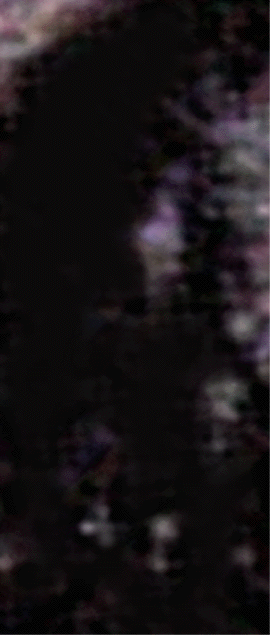 e0103408_15334381.gif