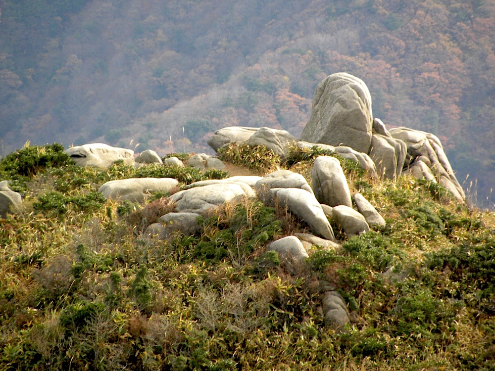 岩篭山　ブナの森の駄口コース　１１月２４日（水）_c0078410_23385326.jpg