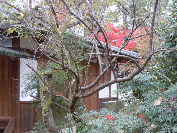 b0159611_20221686.gif
