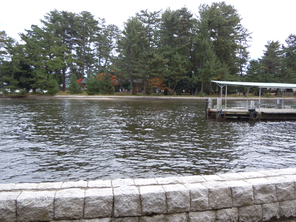 b0159611_20251669.gif