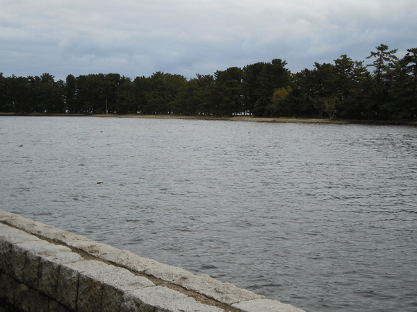 b0159611_20255941.gif