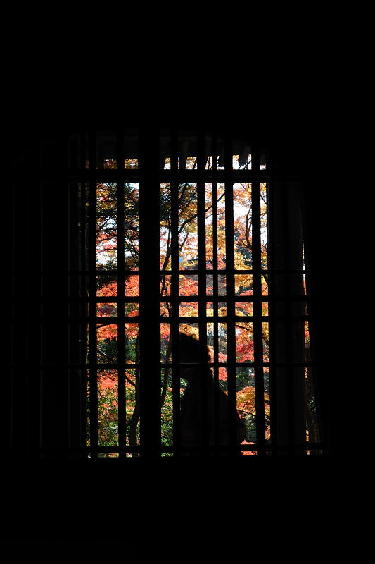 2010京都の紅葉　秘密のお寺_f0032011_19582451.jpg