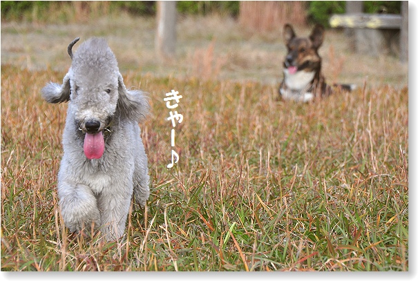 土・日のできごと_c0158813_2314910.jpg