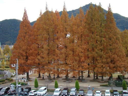c0217013_15844.jpg