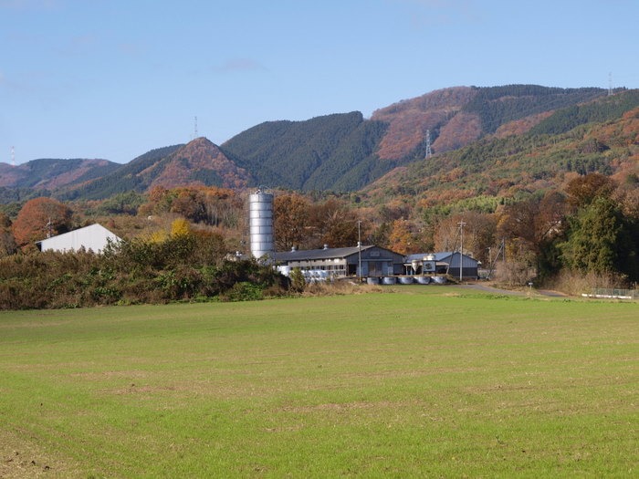 阿弥陀山&砂谷牧場付近_c0116915_23392947.jpg