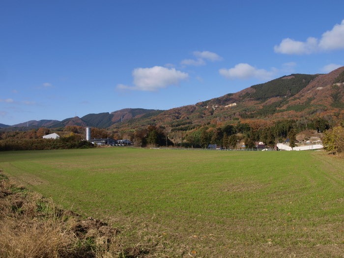 阿弥陀山&砂谷牧場付近_c0116915_2339598.jpg