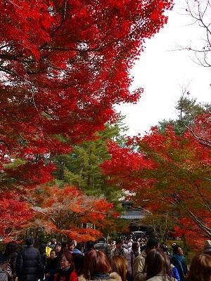 京都日帰り旅行(1)_a0101716_1337552.jpg