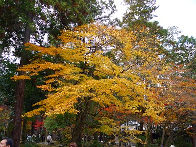 京都日帰り旅行(1)_a0101716_13385754.jpg