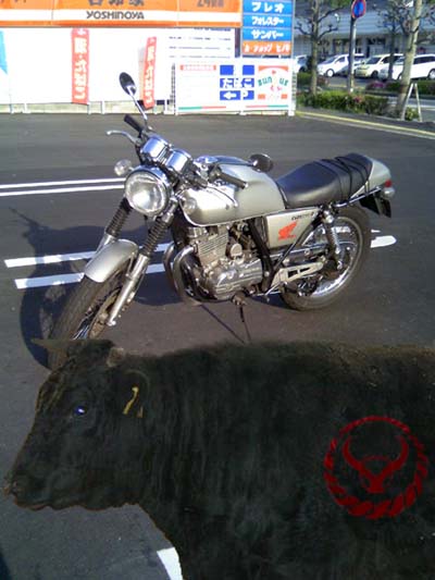 c0083518_854015.jpg