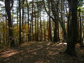 b0132522_21594183.jpg
