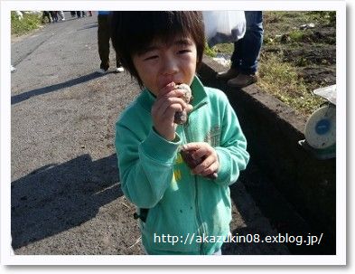 さつま芋のパウンドケーキ_c0163023_191048.jpg