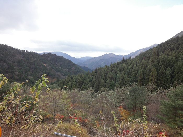 f0117723_0244295.jpg