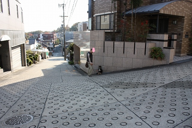 e0162524_2259229.jpg