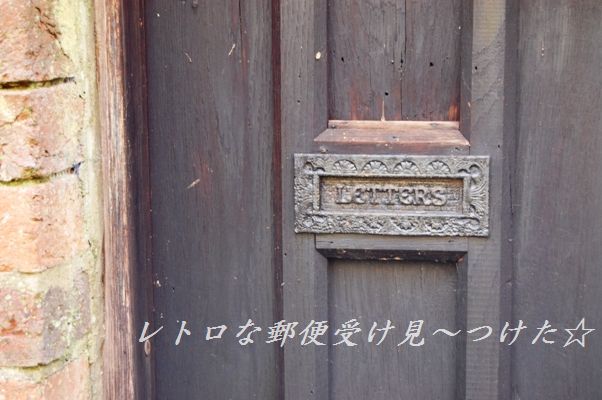 茄子とひき肉の簡単チーズ焼き_d0104926_2513065.jpg