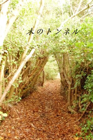 茄子とひき肉の簡単チーズ焼き_d0104926_2514831.jpg