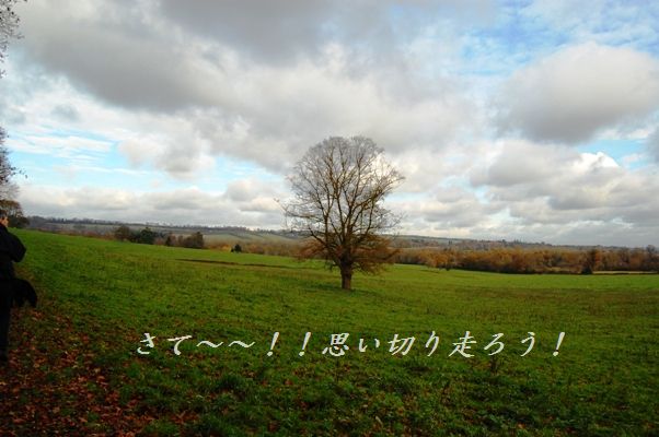 茄子とひき肉の簡単チーズ焼き_d0104926_2521132.jpg