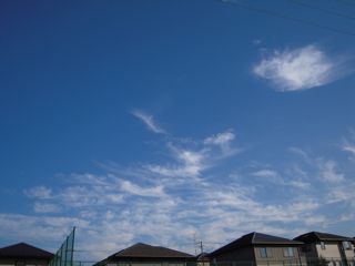 神奈川県立麻生養護学校キムジャン2010._e0156326_23132899.jpg