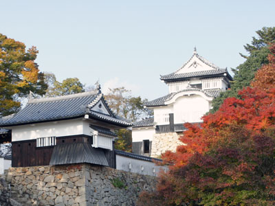 紅葉の岡山へ。_a0026127_1826306.jpg