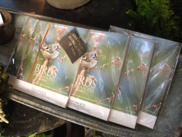 小鳥ポストカ-ドカレンダ-入荷_c0102228_21513077.jpg