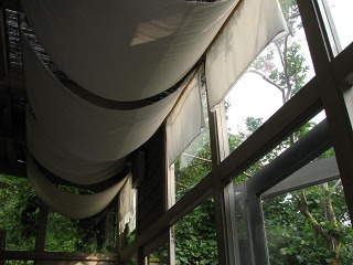 e0202031_233076.jpg