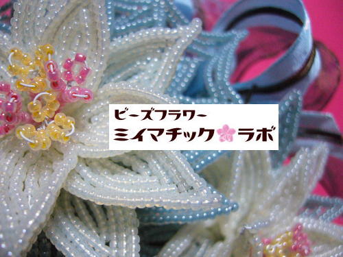 今年のポインセチアは?_d0152937_2356896.jpg