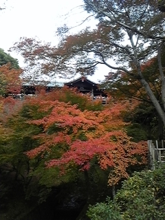 a0142338_21132252.jpg