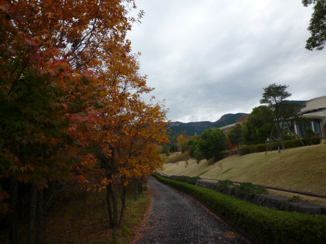 f0070542_7493261.jpg