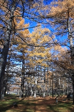 c0122445_18979.jpg