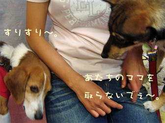 c0086746_97477.jpg